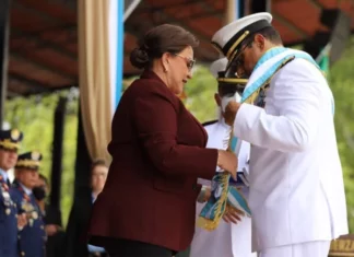 Debilidad política del gobierno obliga al jefe de las FFAA a «quemarse»