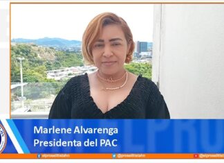 Empresarios disfrazan la evasión fiscal con ofrecimiento de empleos: Marlene Alvarenga