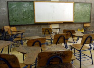 Delicado retroceso de la calidad educativa en el sistema publico