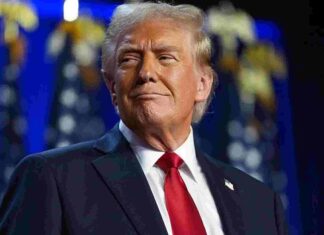 Trump logra un regreso triunfal a la presidencia de Estados Unidos con una contundente victoria ante Kamala Harris