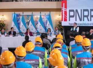 El Programa Nacional de Reducción de Perdidas otro elefante blanco