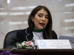 Honduras esta «patas arriba» en salud en perjuicio de los hondureños : Diputada Iroshka Elvir