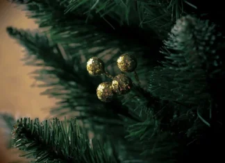 Hondureños se preparan para vivir la peor navidad de los ultimos años