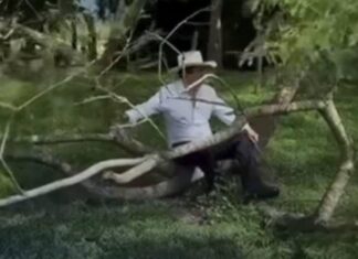 Mientras Honduras se cae a pedazos el Comandante se pasea en un «tronco»