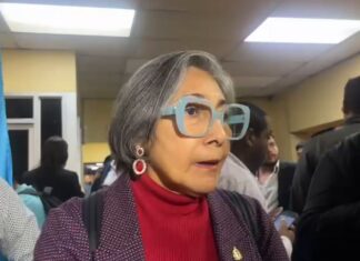 Todos bailan al son de las canciones de quienes gobiernan, sin percatarse del siniestro fin: Maribel Espinoza