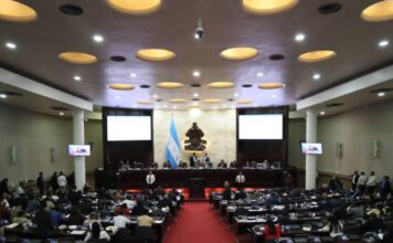 Congreso aprueba amnistía para facilitar el registro de armas de fuego en el país