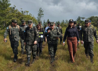 Enorme suspicacia genera que Rixi Moncada vaya a elecciones siendo la Ministra de Defensa que tiene jerarquía sobre las FFAA