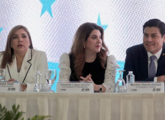 Mientras Marlon Ochoa hace lo que quiere en el CNE las Consejeras López y Hall no toman medidas contundentes para frenar los abusos