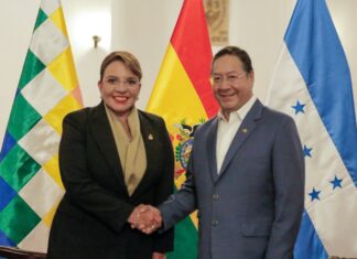 Detuvieron a Luis Arce, ex presidente de Bolivia, por una causa de corrupción vinculada al Fondo Indígena