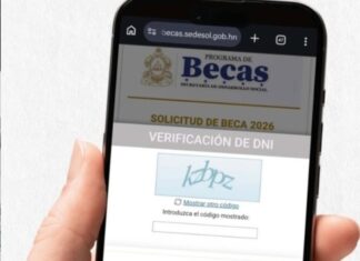Sedesol cierra este martes convocatoria para becas universitarias de L4,000 mensuales