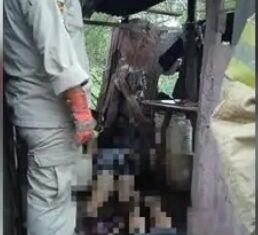 Madre e hijo mueren electrocutados en la colonia La Mololoa tras intentar cortar ramas sobre su vivienda