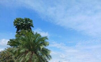 MP inspecciona muelle de cabotaje en La Ceiba por presuntas irregularidades en contratos de arrendamiento