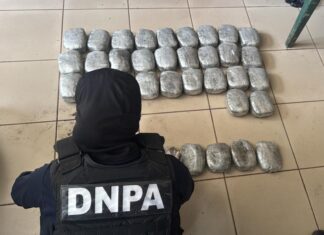Autoridades incautan 240 paquetes de supuesta marihuana en operativo realizado en Lempira