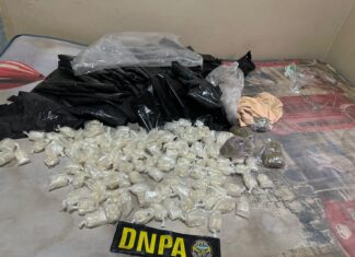 DNPA desarticula presunto centro de almacenamiento y distribución de drogas en Comayagua