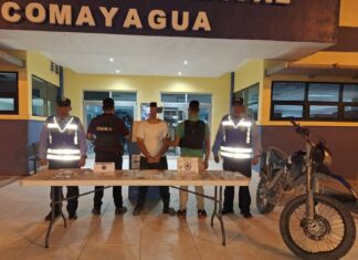 Policía Antidrogas captura a sujeto con más de 700 dosis de presunta droga en Comayagua