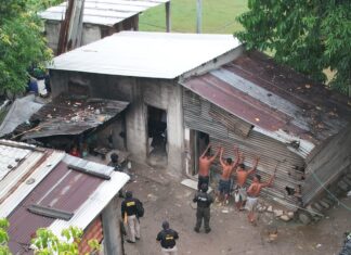 MP ejecuta 13 allanamientos en Choloma para desarticular estructura vinculada a homicidios y tráfico de drogas