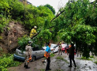 Alcaldía del Distrito Central reporta más de 100 atenciones preventivas durante la alerta verde