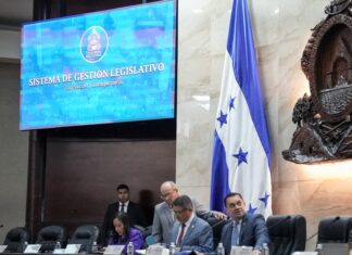 Congreso Nacional lanza portal digital que permitirá a la ciudadanía dar seguimiento al trabajo de los diputados