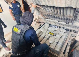 DNPA consolida su lucha contra las drogas en el Día Internacional contra el Uso Indebido y el Tráfico Ilícito de Drogas