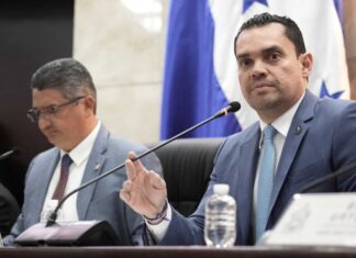 Congreso Nacional busca respuestas ante fallas en el servicio eléctrico