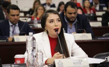 Iroshka Elvir respalda petición para investigar vínculos de Fernando Cerimedo con Nasry Asfura
