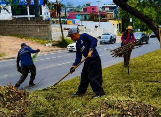 AMDC intensifica limpieza en el Anillo Periférico para mejorar la seguridad vial