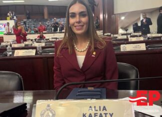 Diputada Alia Kafaty retira proyecto que proponía permitir la reelección presidencial