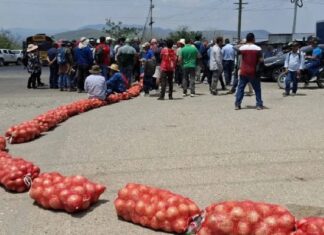 Productores de cebolla anuncian nuevas protestas por incumplimiento de acuerdos sobre importaciones