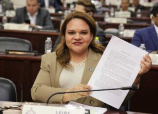 Diputada impulsa creación de Ley Orgánica del Colegio de Intermediarios de Corredores de Seguros de Honduras