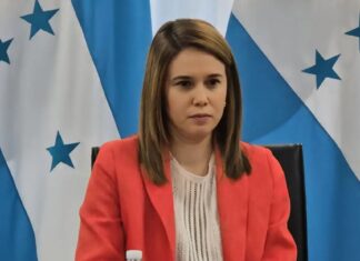 Exautoridades electorales presentan al CNE propuesta de reforma a la Ley Electoral