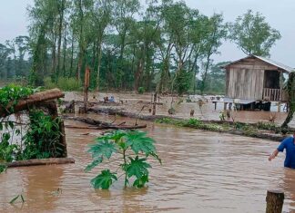 Inundaciones dejan incomunicado al 80 % de Patuca y agravan emergencia en Olancho y Gracias a Dios