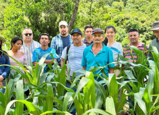 Banco Mundial verifica avances de proyectos agrícolas apoyados por SAG-COMRURAL en Reitoca