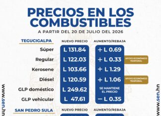 Ahdippe insta a ahorrar combustible ante nuevo aumento en los precios