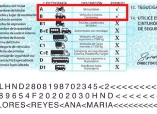 DNVT prevé normalizar emisión de licencias físicas hasta agosto