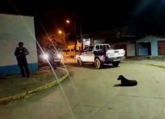 Fallece madre del niño asesinado en ataque armado ocurrido en El Progreso
