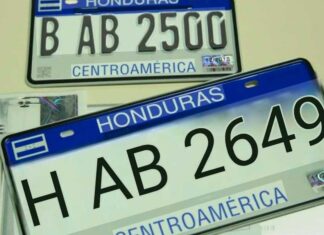 Piden revisar contrato millonario para fabricación de placas vehiculares