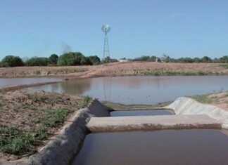 Represas del Distrito Central continúan perdiendo agua y aumenta la alerta por sequía