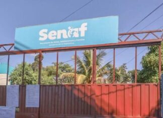 SENAF revisa entre 50 y 100 expedientes de adopción para detectar posibles irregularidades