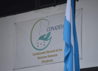 Conadeh pide a madres hondureñas en EE. UU. registrar a sus hijos con doble nacionalidad
