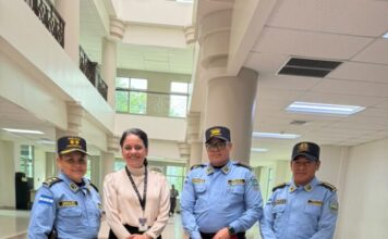 Empleados del Palacio de Justicia auxilian a perro herido en San Pedro Sula