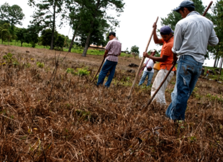 San Buenaventura declara emergencia alimentaria por pérdidas de cultivos y escasez de agua