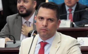 Pausa negociación de reformas al subsector eléctrico mientras Ejecutivo revisa propuesta liberal