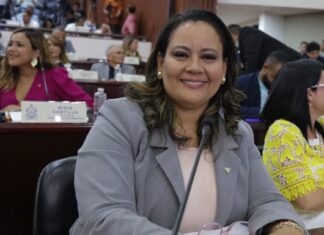 Diputada Alejandra Vallecillo presenta proyecto de ley para prevenir y atender el abuso sexual infantil