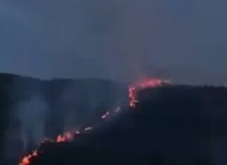 Incendio forestal consume amplia zona de vegetación en la Cerro Grande, en Comayagüela