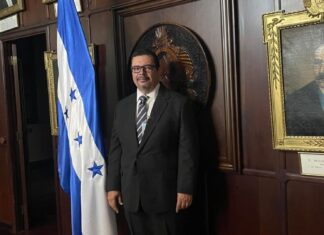 Sequía provoca muerte de al menos 200 reses y SAG anuncia apoyo a ganaderos afectados