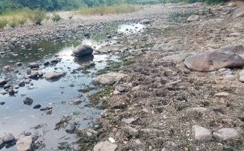 Sequía del río Moramulca provoca pérdidas agrícolas y mantiene en alerta a productores