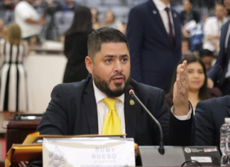 Rumi Bueso respalda comisión sobre reforma eléctrica y rechaza privatización de la ENEE