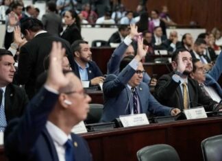 Congreso amplía exenciones tributarias para proyecto de nuevas placas vehiculares