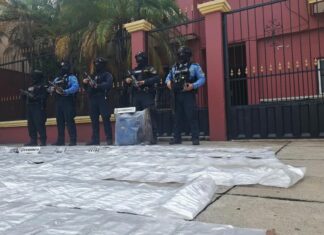 Autoridades localizan más de 8 mil dosis de supuesta droga en zona montañosa de Nacaome
