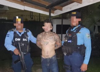 Capturan a presunto integrante de la MS-13 por asociación terrorista en La Ceiba